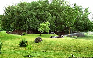 More of the 4-acre landscaped garden