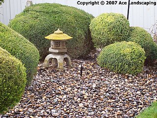 Jill's landscape design Jill's landscape design