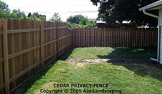 Wood fencing inside view Wood fencing inside view
