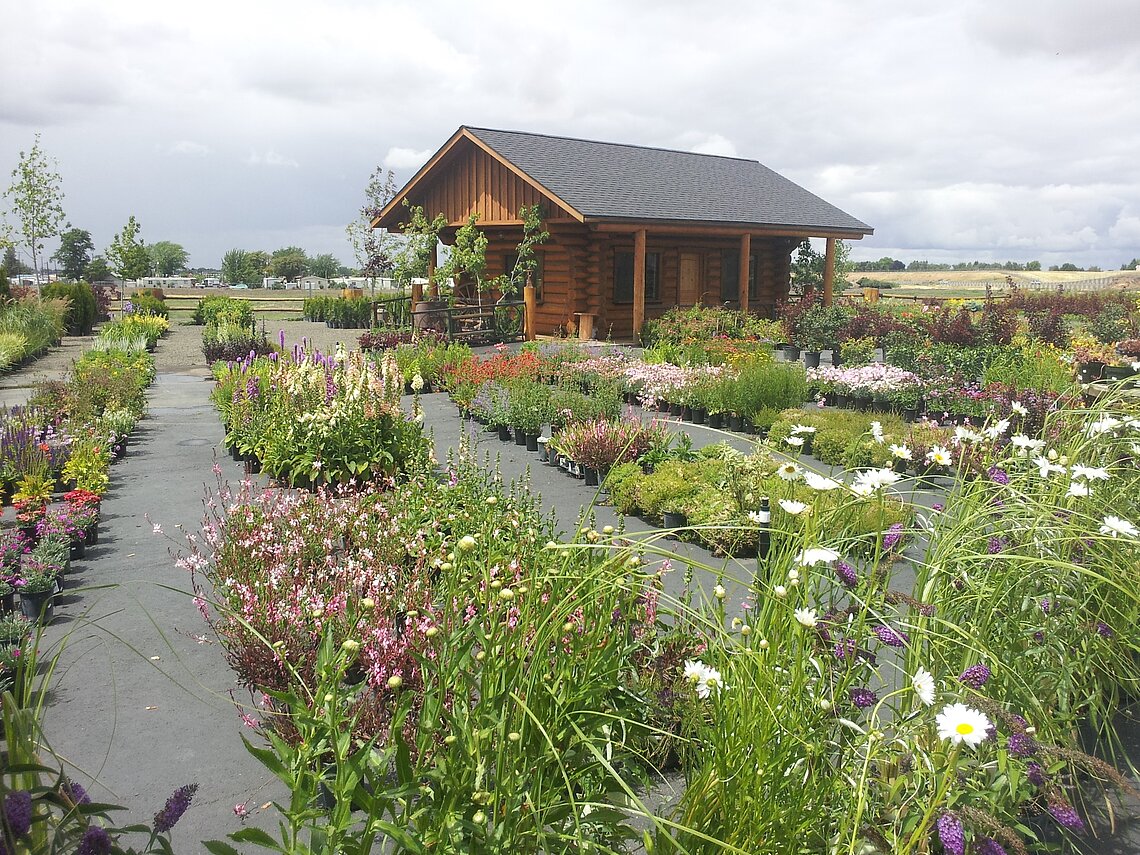 Ace Landscaping Nursery: Walla Walla Location. Ace Landscaping Nursery: Walla Walla Location.