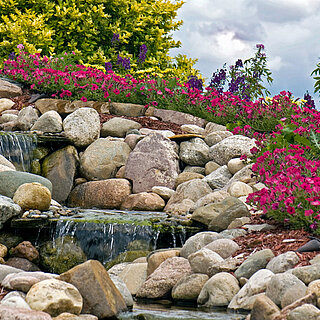 Ponds & Water Features