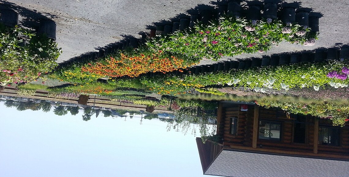 Nursery perennials & grasses at Ace Landscaping