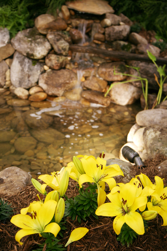 OUTDOOR LIGHTING CONTRACTOR - Light Your Yard/Garden w/ Exterior Lights