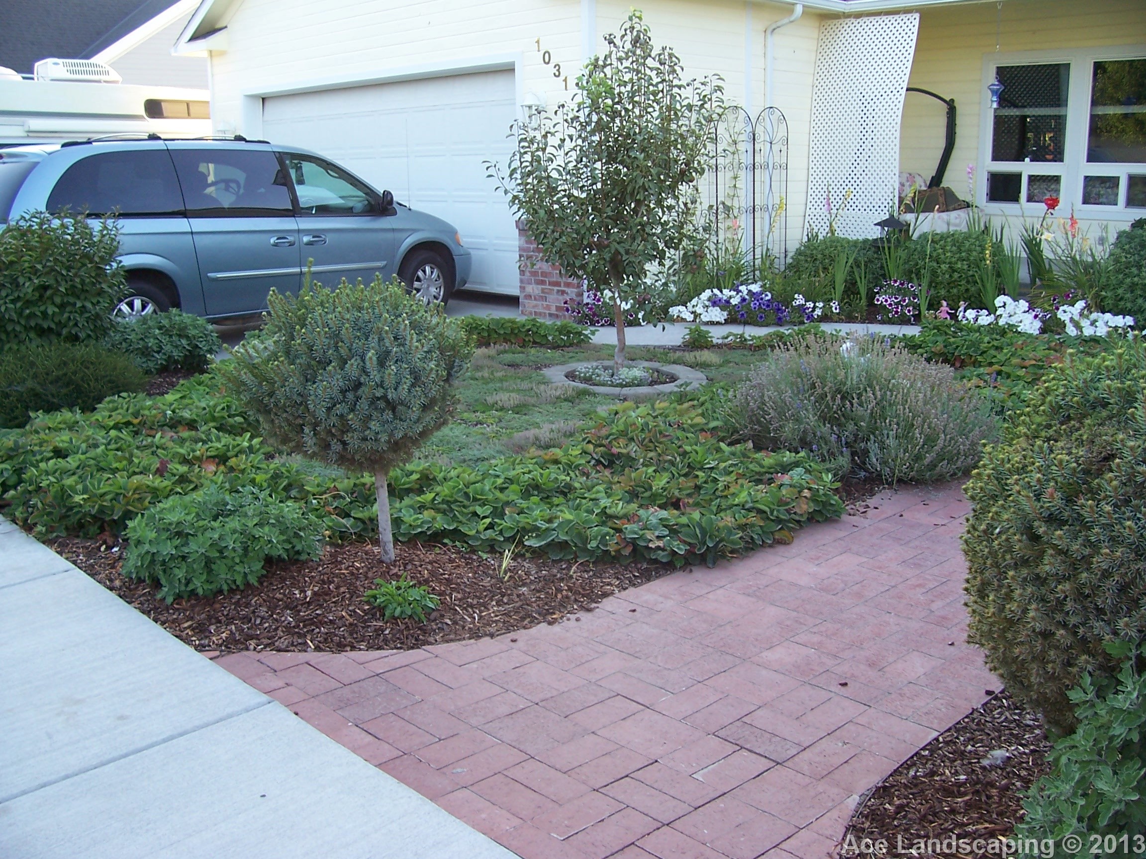 TREE SERVICE CONTRACTOR Tree & Shrub Trimming/Pruning/Removal